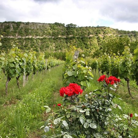 Bed and Breakfast Sas Domaine Delmas Parnac  Zewnętrze zdjęcie